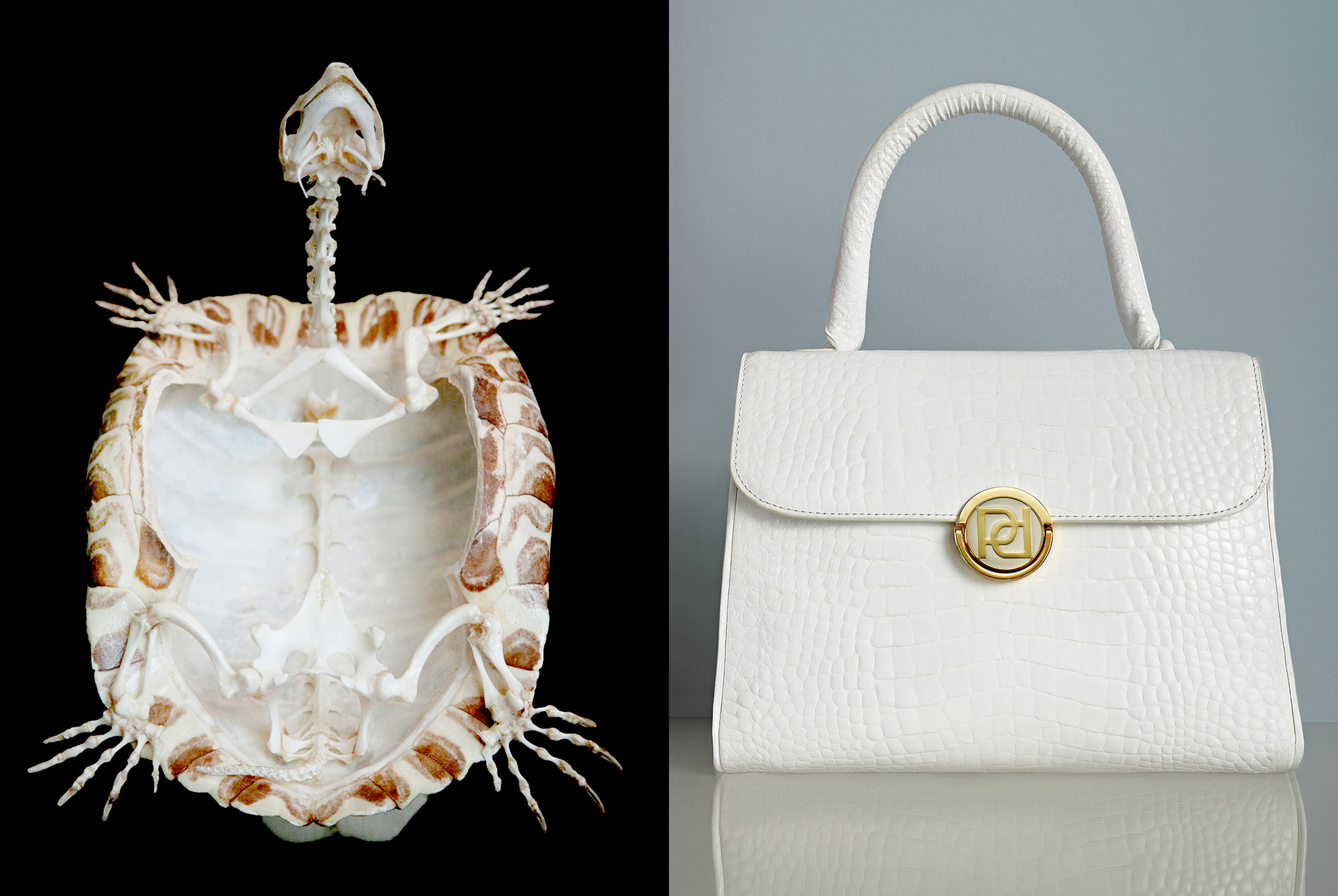 Fashion, accessories and product photography by commercial and advertising photographer Monica Stevenson